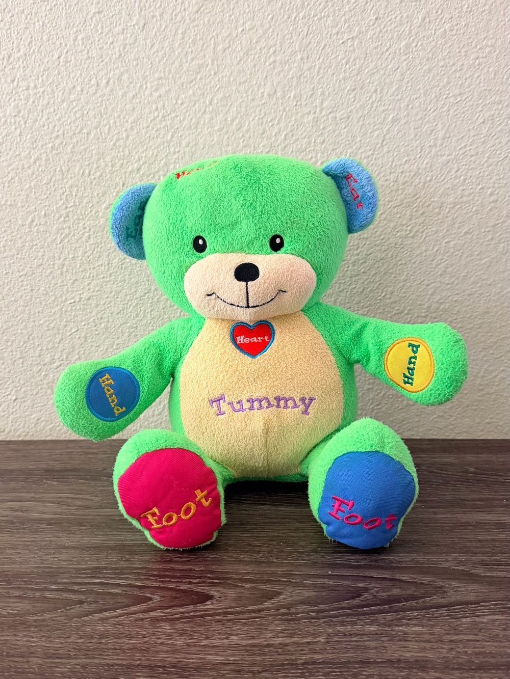 Green Educational Plush Bear - Tummy, Heart, Hands & Feet